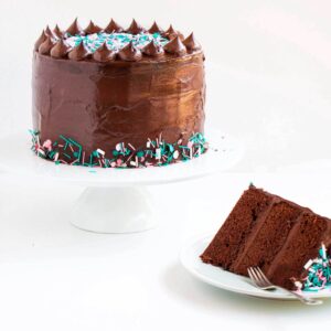 Chocolate Sprinkle Cake From 5* Hotel